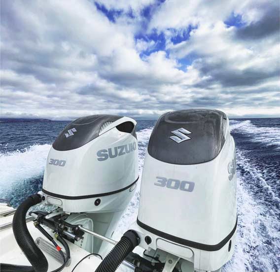 Revisióno de motores fueraborda en Barcelona, segur de calafell, port olimpic, port ginesta, vilanova, gran marina, tarragona 