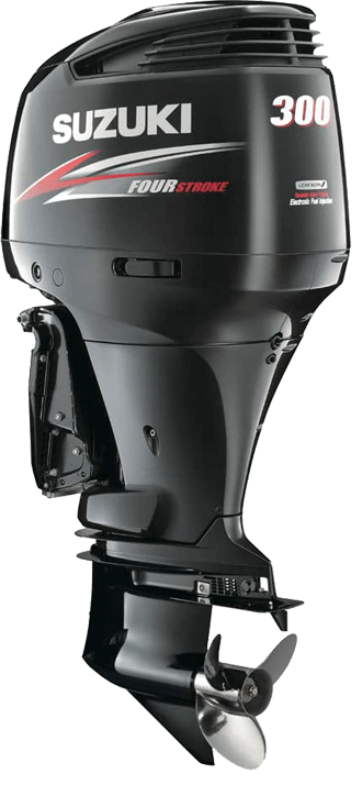 Revisión reparación motor fueraborda suzuki en barcelona, yamaha, evinrude, selva marine